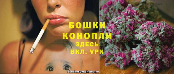 ешки Арсеньев
