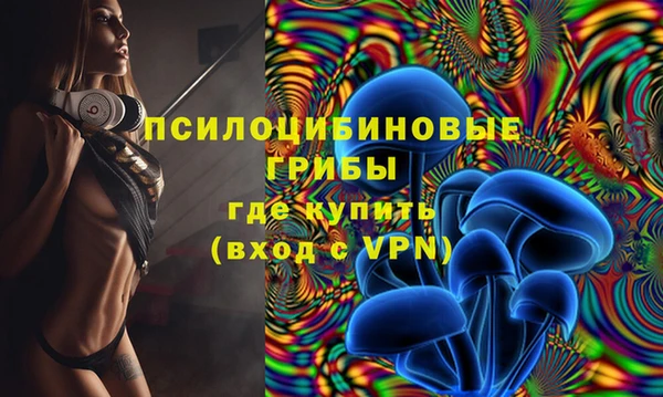 ешки Арсеньев