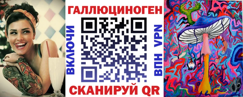 Галлюциногенные грибы Psilocybe  купить наркоту  Североморск 